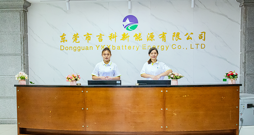 lithium ion polymer battery manufacturers